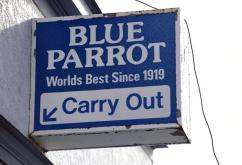 Blue Parrot