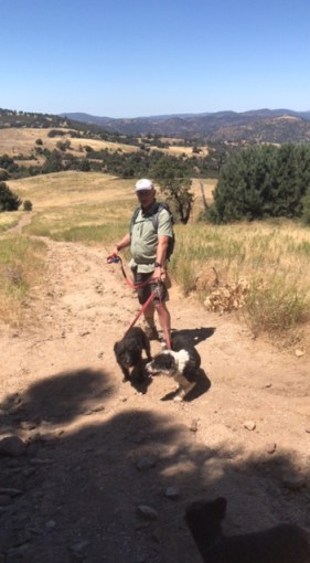 C9CCDE7D-F51D-4FF1-989B-5D02A9A725FE